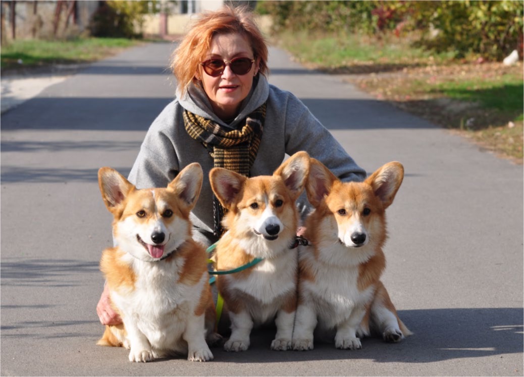 a woman sitting with several dogs on a road